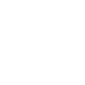 Vision